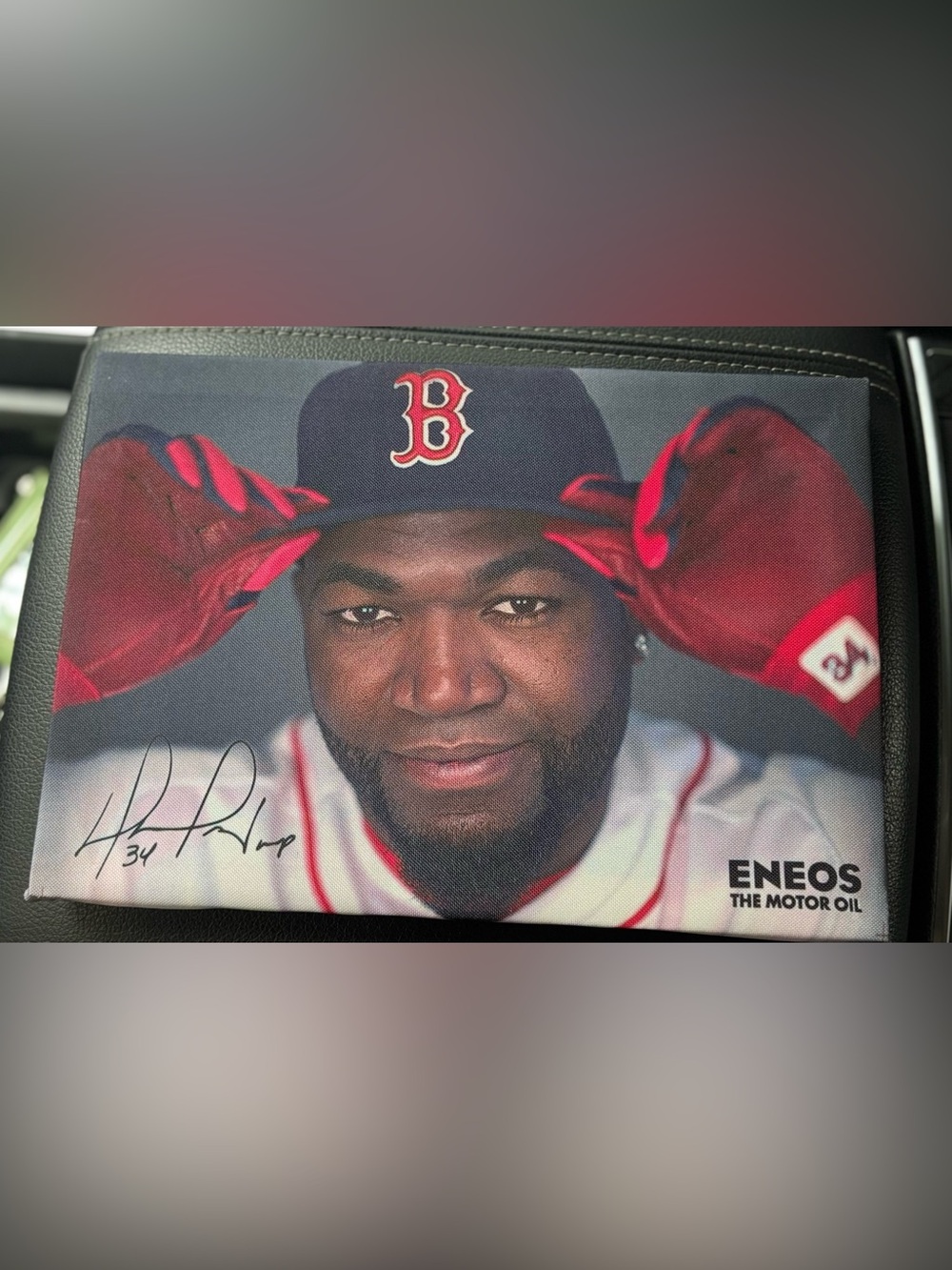 David Ortiz ENEOS Stadium 2016 Canvas Print